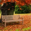 CLP Teakbank Jackson V2 Gartenbank mit Rückenlehne Produktbild-Vorschau 5