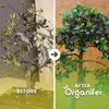 Bonsai Tekuté Hnojivo 1 L – 2-1-8 NPK – Pro Bonsai & Náhled obrázku produktu 2