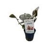 Meebold´s Lagenandra meeboldii Rot Produktbild-Vorschau 3