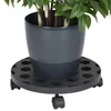 Rouleau pour plantes 35cm Rouleau pour fleurs Voir les images du produit 1