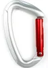 Alukarabiner TOP straight gate in silber und rot von Edelweiss; geeignet für Klettern. Produktbild-Vorschau