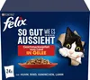 A box of Felix cat food. Produktbild-Vorschau