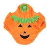 Kürbis-Hundekleidung,Halloween-Kürbis-Hundekleidung,Hunde-Wi Produktbild-Vorschau 5