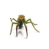 Collecta - Mantis Religiosa -L- 88351 (90188351) COLECTA Náhľad obrázku produktu 5