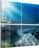 DEQORI Glasbild Echtglas 4x50x50 cm 'Korallenriff-Taucher' Produktbild-Vorschau 1