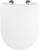 Ramm Toilettensitz kompatibel mit Lavita Galve, WC Sitz aus Produktbild-Vorschau 13