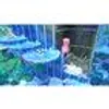 Gra KIRBY FORGOTTEN LAND + STAR-CROSSED WORLD NINTENDO Podgląd zdjęcia produktu 4
