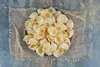 Antico Pastifico Umbro Conchiglioni 6x 500g Italienische Produktbild-Vorschau 2