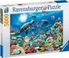 Leben im Korallenriff (Puzzle) 17426 Voir les images du produit 1