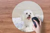 MuchoWow® Mauspad Mousepad Ein Malteser Hund liegt auf Produktbild-Vorschau 3