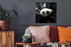 MuchoWow® Poster Tiere - Dschungel - Panda - Schwarz - Weiß Produktbild-Vorschau 2