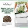 Lechuza Samozavlažovací truhlík Delta Premium 10 cm, Náhled obrázku produktu 20