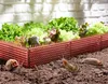 RUCO Schneckenschutz-Zaun / Schnecken Barriere / Schnecken Produktbild-Vorschau 1