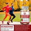 Berberin extrakt 1200 mg (120 kapslí) srdce, krevní oběh, Náhled obrázku produktu 7