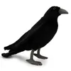 Rabe 30cm Krähe Vogel Schwarz Realistisch Deko Stofftier Produktbild-Vorschau 2