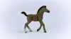 schleich HORSE CLUB 13957, 5 rok/roky, Horses, Hnědá Náhled obrázku produktu 7