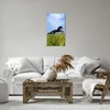 Bild auf Leinwand - Leinwandbild - Schwarzes Pferd Pferd Produktbild-Vorschau 6