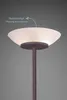 A close-up of a floor lamp with a frosted glass shade, with text indicating even light distribution. Produktbild-Vorschau