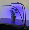 Gardlov 2x LED Lempa augalų auginimui - 2 vnt. Náhled obrázku produktu 18