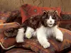 Folkmanis Handpuppe wuschelige Katze 2558 Produktbild-Vorschau 3