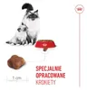 Royal Canin Chat – Trockenfutter für Mutterkatzen und Produktbild-Vorschau 15