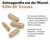 Ashwagandha KSM-66 Kapseln Hochdosiert – 600mg Produktbild-Vorschau 3