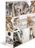 Herma 7166 Teczka Motif cats A4 70 mm(S) Podgląd zdjęcia produktu 1