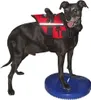 Disco di equilibrio FitPAWS per animali domestici 36 cm blu Anteprima dell’immagine prodotto 4