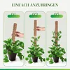 Pflanzenstütze, 2 Stück 41 CM Pflanzstab Rankhilfen für Produktbild-Vorschau 7