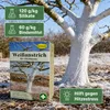 Schacht Weißanstrich für Obstbäume 1 kg Produktbild-Vorschau 6