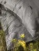 Irisette Lyocell-Satin Bettwäsche-Garnitur Lotus 8521  Produktbild-Vorschau 5