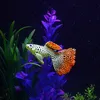 Aquarium künstliche Fische,Aquarium Simulation Produktbild-Vorschau 5