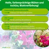 Purgrün Bougainvillea-Dünger 1 Liter Produktbild-Vorschau 3