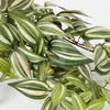 Mica Decorations Tradescantia - závesná umelá rastlina v Náhľad obrázku produktu 7