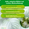Purgrün Calathea-Dünger 1 Liter, Produktbild-Vorschau 3