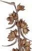 Sororoca Zweig Natur, Länge ca. 150-180cm | Ravenala Produktbild-Vorschau 4