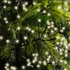 Kaemingk Lumineo Cluster Lichterkette 3000 LED warmweiß Produktbild-Vorschau 16