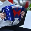 Akkordeon 10 Tasten, leichtes Mini-Akkordeon mit 7 Tasten Produktbild-Vorschau 5