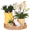 Kolibri Company | Geschenkset Mediterranean Sunset | Produktbild-Vorschau 1