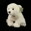 Peluche Ours Polaire 28 Cm Ecologique Voir les images du produit 4