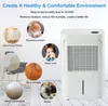 A collage of images showing the negative effects of high humidity and a dehumidifier. Anteprima dell’immagine prodotto