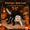 Spinnenkostüm Hund, Halloween Hundekostüm mit 8 Produktbild-Vorschau 3