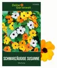 Schwarzäugige Susanne Mischung Samen - Thunbergia alata - Produktbild-Vorschau 1