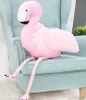 Gustaw Flaming Teddybär Groß XXL (rosa, 220cm) - Plüschbär, Produktbild-Vorschau 6