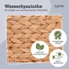 animal-design Katzen-Wandhöhle ALBA Wasserhyazinthe Produktbild-Vorschau 4