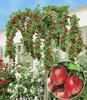BALDUR Garten 1x Stachelbeer-Stämmchen 'Captivator', Produktbild-Vorschau 1