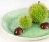 Dehner Esskastanie Bouche de Betizac", große rotbraune Produktbild-Vorschau 4