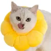 A cat wearing a yellow sunflower-shaped collar against a white background. Produktbild-Vorschau