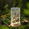 360° Cilindrisch terrarium, vivarium, acryl terrarium, Productafbeelding-voorbeeld 9