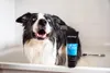 Animology Hundeshampoo Hair Of The Dog Anti-Tangle 250 ml Produktbild-Vorschau 4